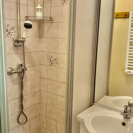 Triplex, Animaux Et Parking - 10 Pers. - Fr-1-871-42 Apartmán
