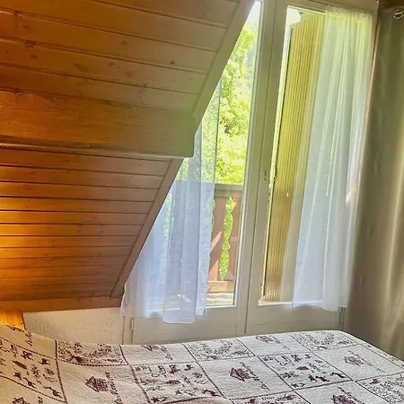 Appartement Triplex, Animaux Et Parking - 10 Pers. - Fr-1-871-42